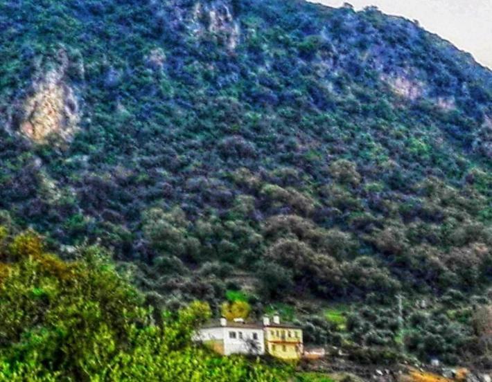 Alto De Torrecillas El Bosque Exterior foto